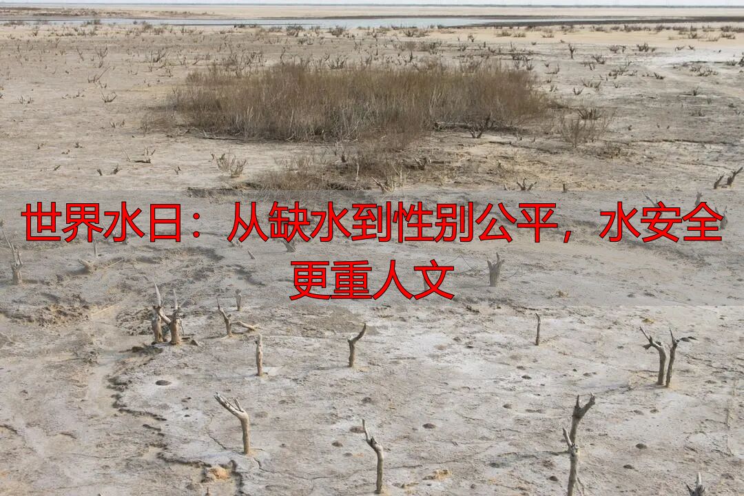 世界水日：从缺水到性别公平，水安全更重人文