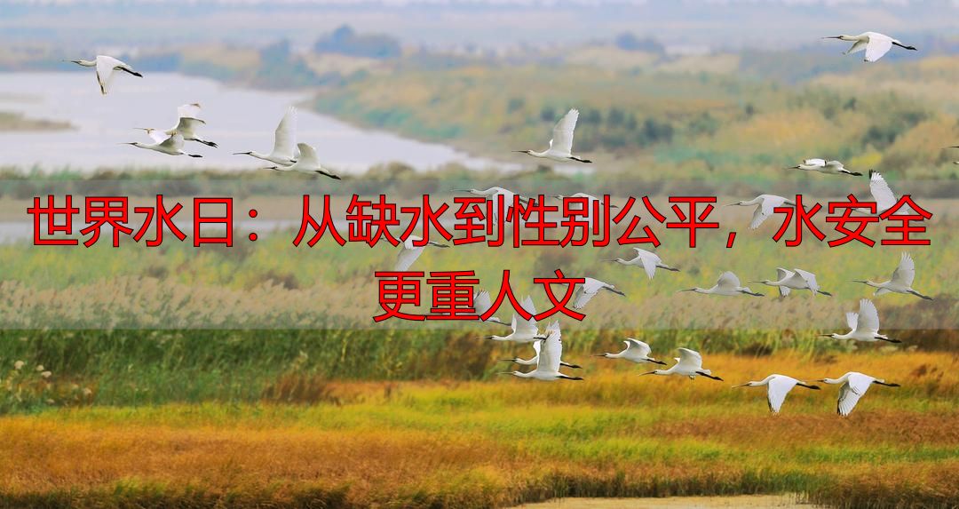 世界水日：从缺水到性别公平，水安全更重人文