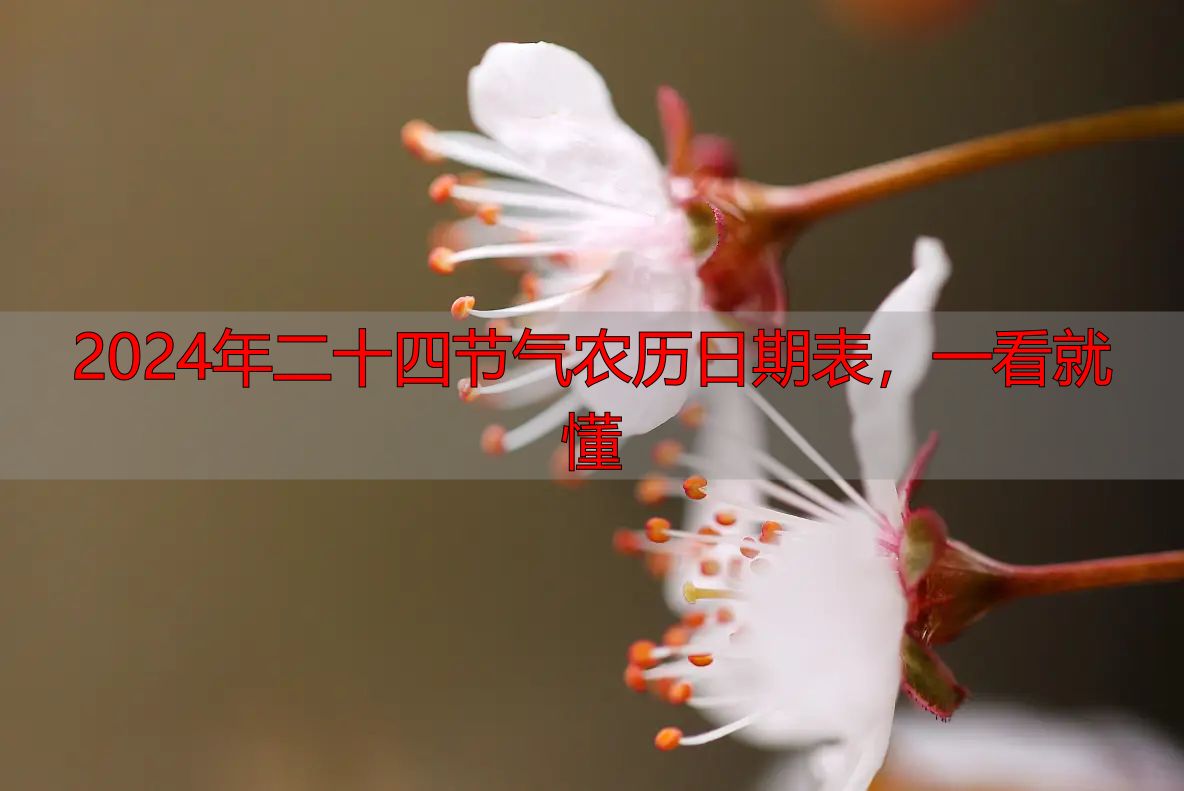 2024年二十四节气农历日期表，一看就懂