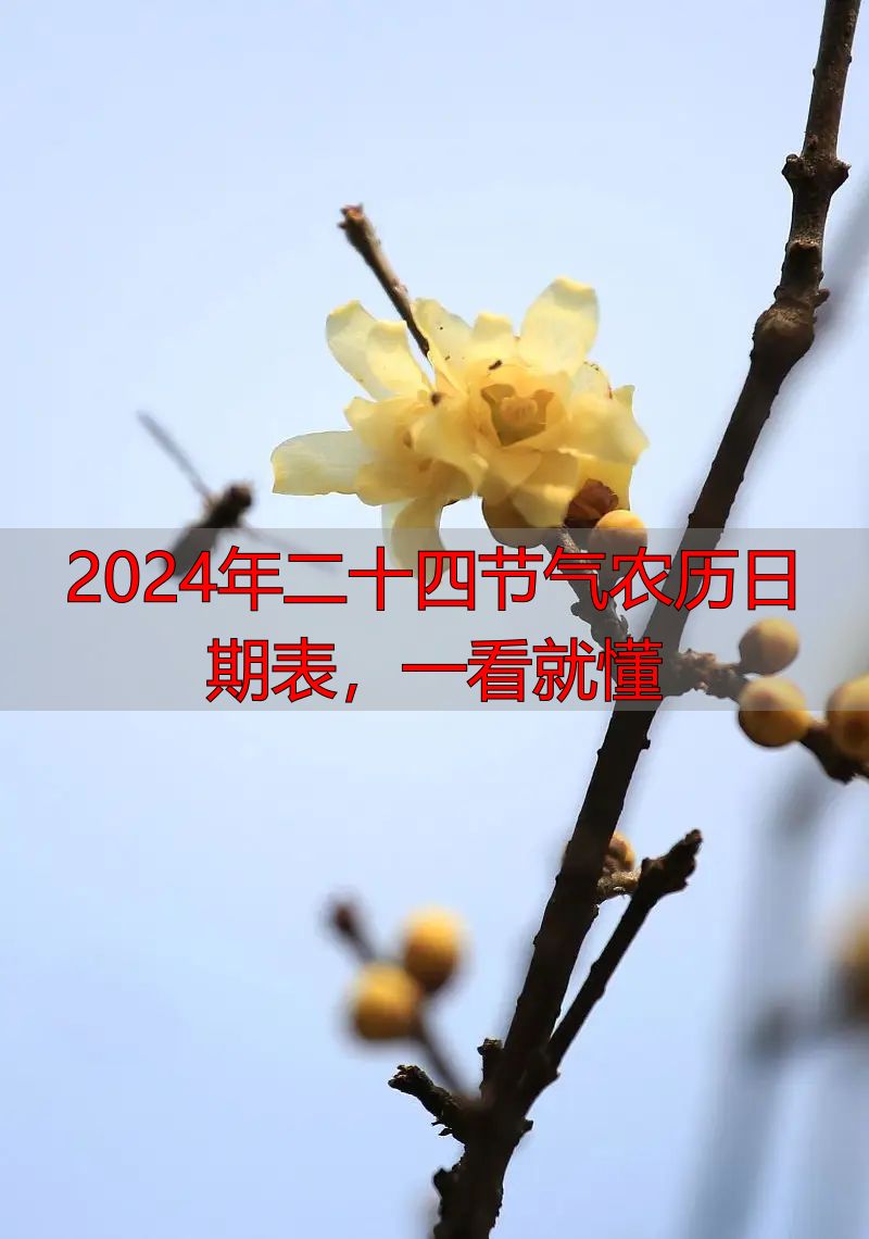 2024年二十四节气农历日期表，一看就懂
