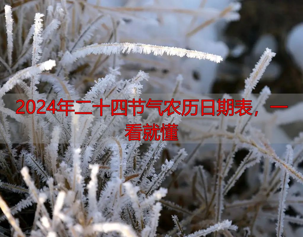 2024年二十四节气农历日期表，一看就懂