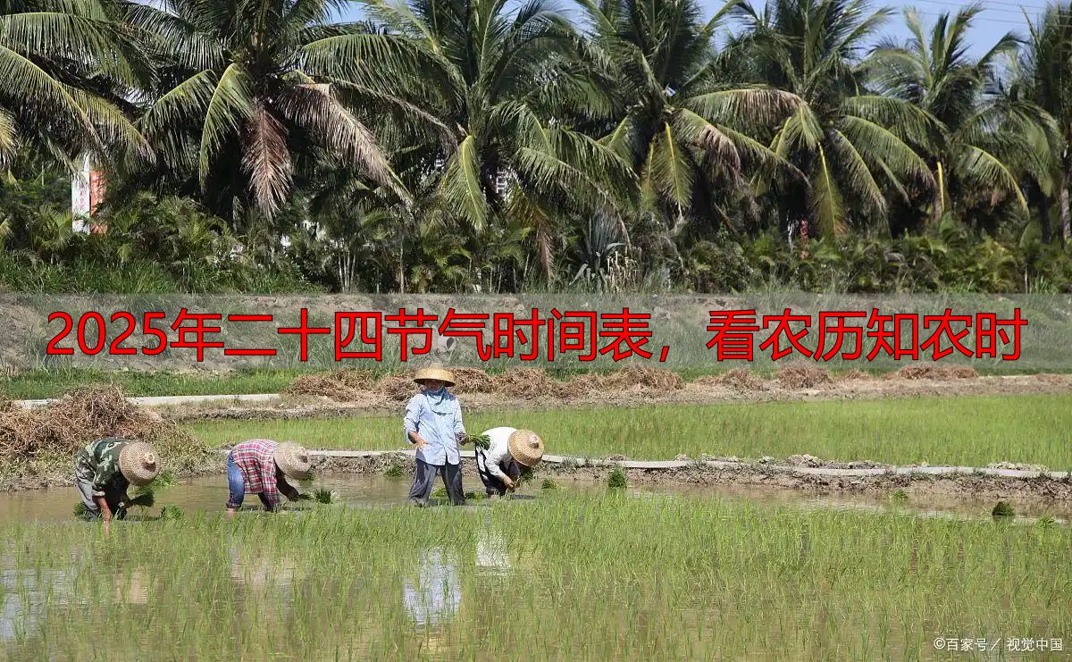 2025年二十四节气时间表,看农历知农时