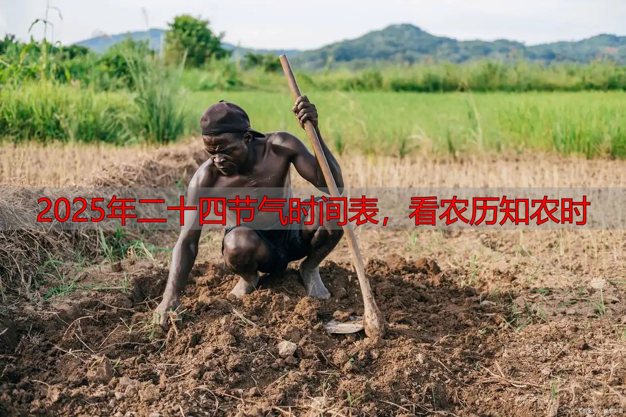 2025年二十四节气时间表,看农历知农时