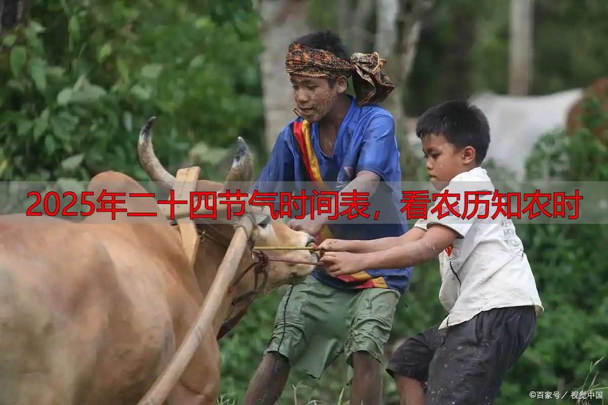 2025年二十四节气时间表,看农历知农时
