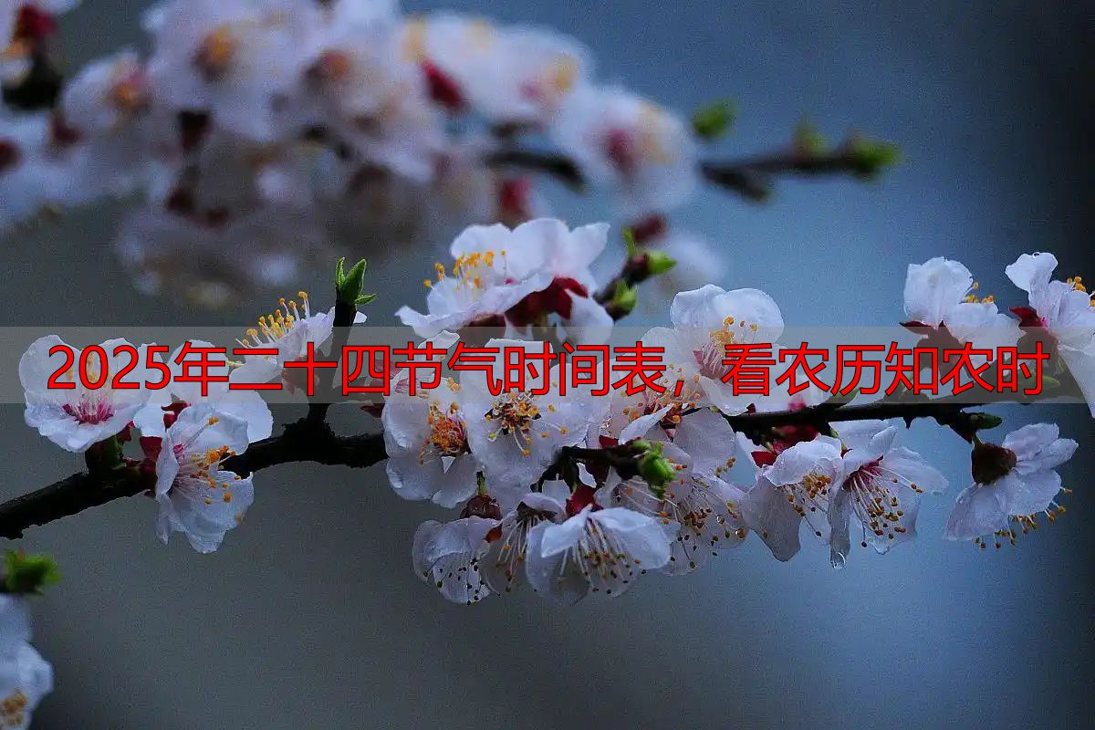 2025年二十四节气时间表,看农历知农时