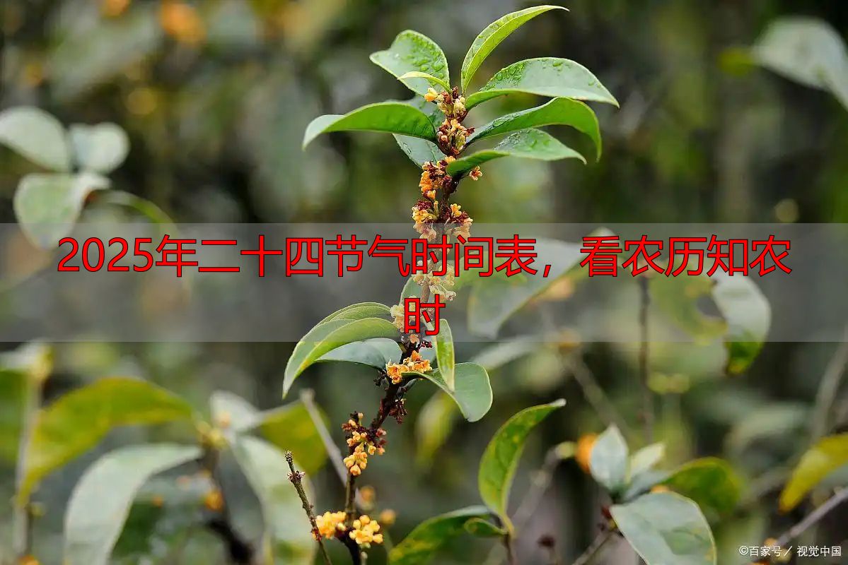 2025年二十四节气时间表,看农历知农时