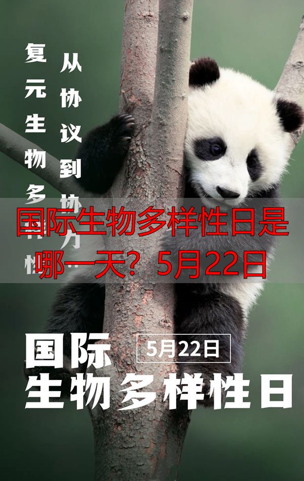 国际生物多样性日是哪一天？5月22日