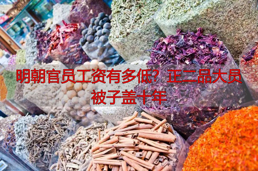 明朝官员工资有多低？正二品大员被子盖十年