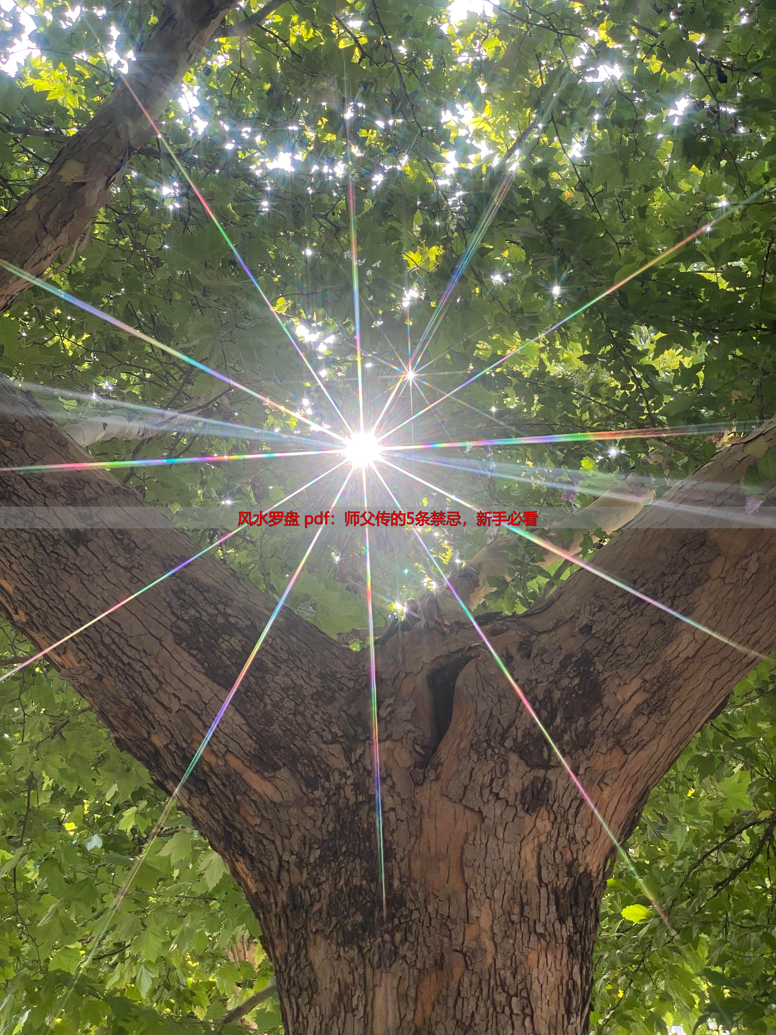 风水罗盘 pdf：师父传的5条禁忌，新手必看
