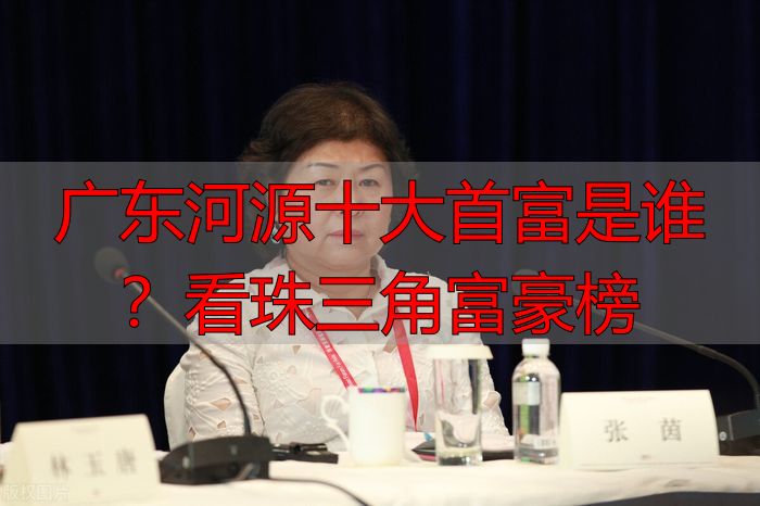 广东河源十大首富是谁？看珠三角富豪榜