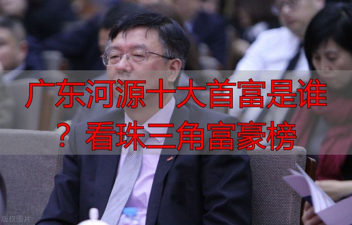 广东河源十大首富是谁？看珠三角富豪榜