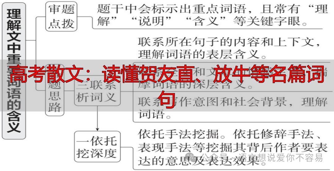 高考散文：读懂贺友直、放牛等名篇词句