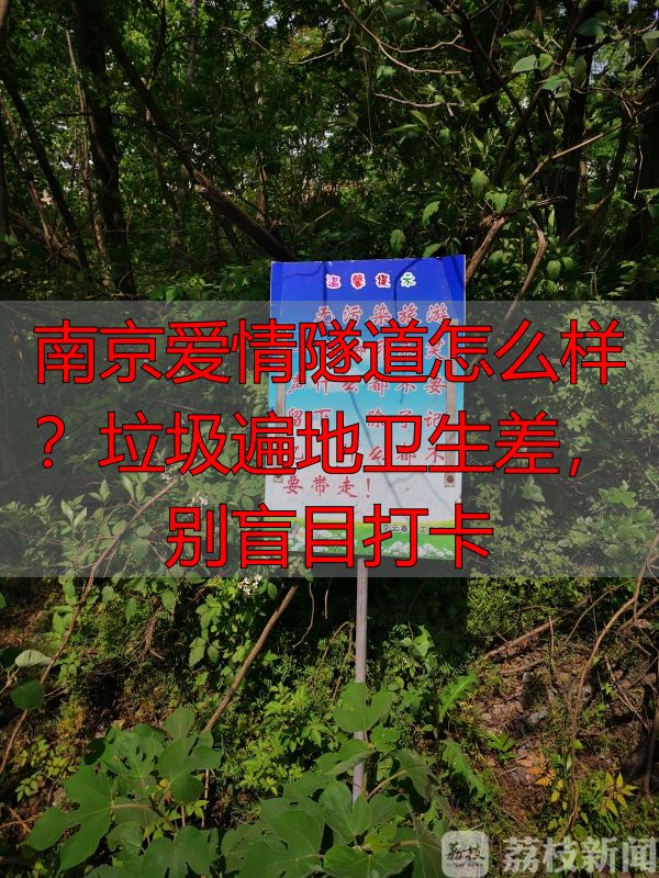 南京爱情隧道怎么样?垃圾遍地卫生差,别盲目打卡