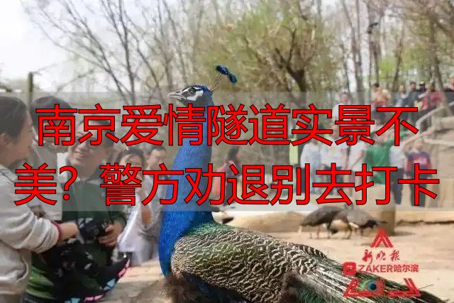 南京爱情隧道实景不美?警方劝退别去打卡