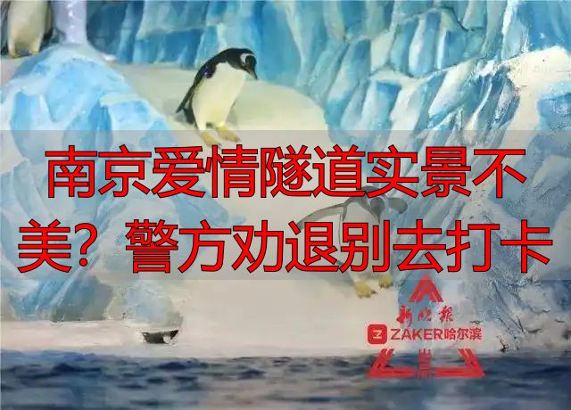 南京爱情隧道实景不美?警方劝退别去打卡