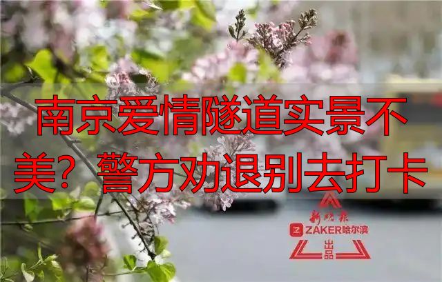 南京爱情隧道实景不美?警方劝退别去打卡