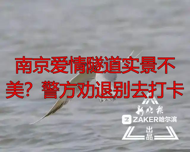 南京爱情隧道实景不美?警方劝退别去打卡