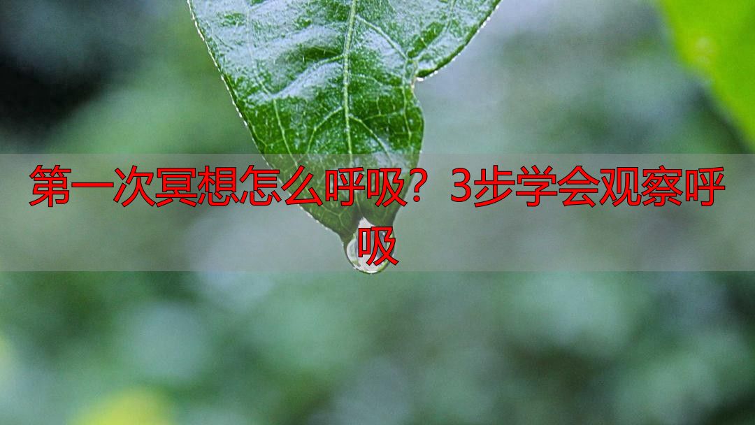 第一次冥想怎么呼吸?3步学会观察呼吸