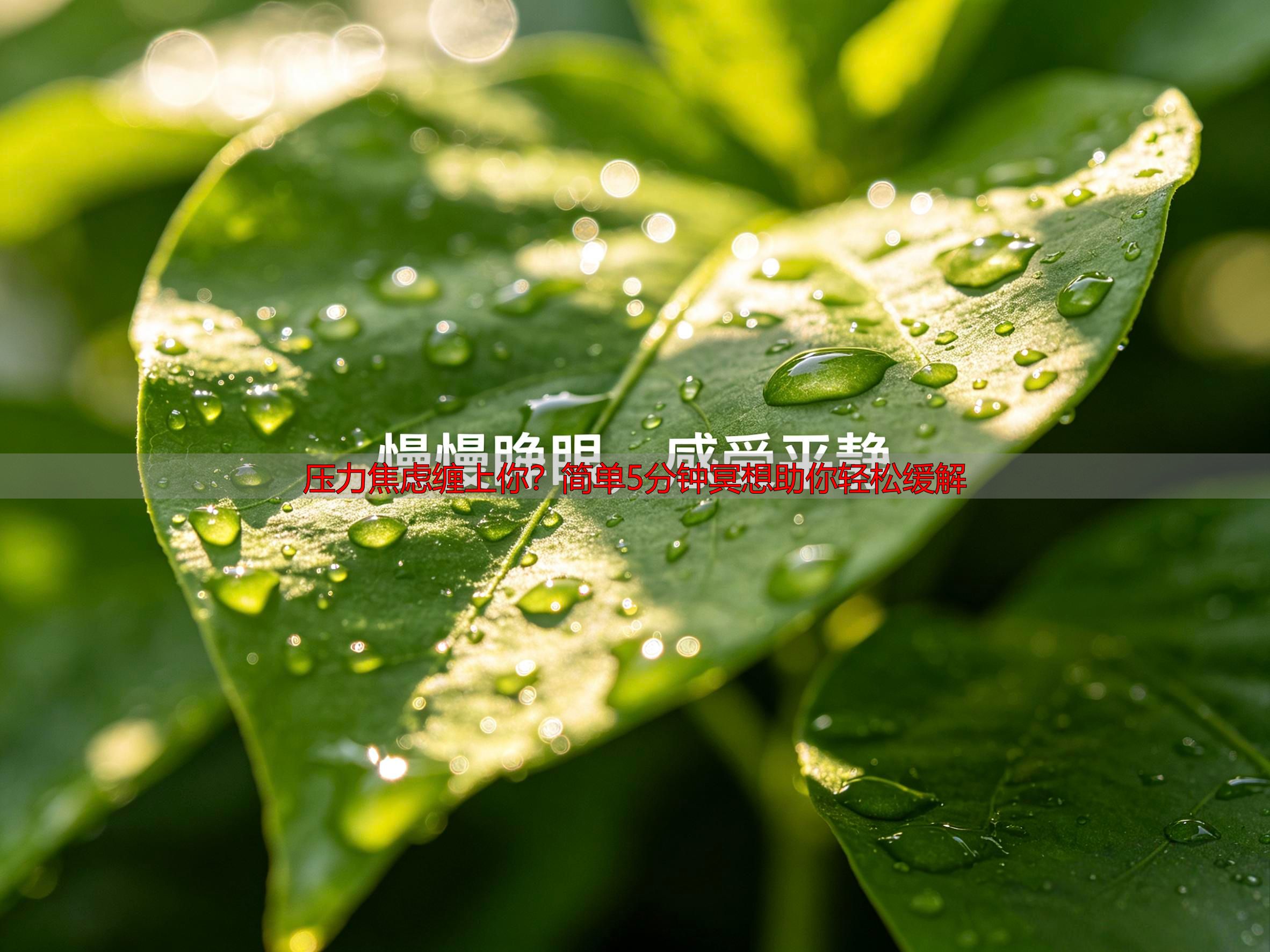 压力焦虑缠上你？简单5分钟冥想助你轻松缓解