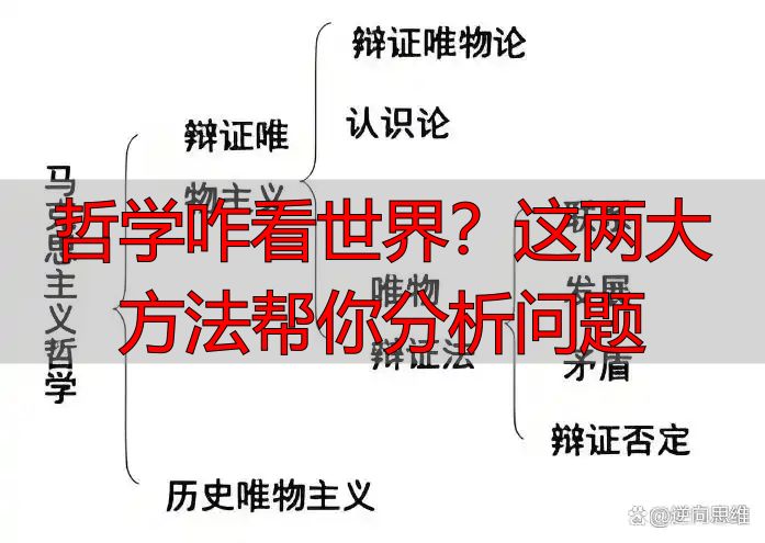 哲学咋看世界？这两大方法帮你分析问题