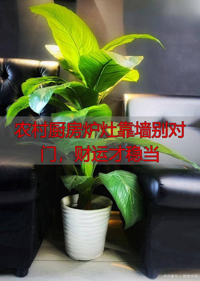 农村厨房炉灶靠墙别对门，财运才稳当