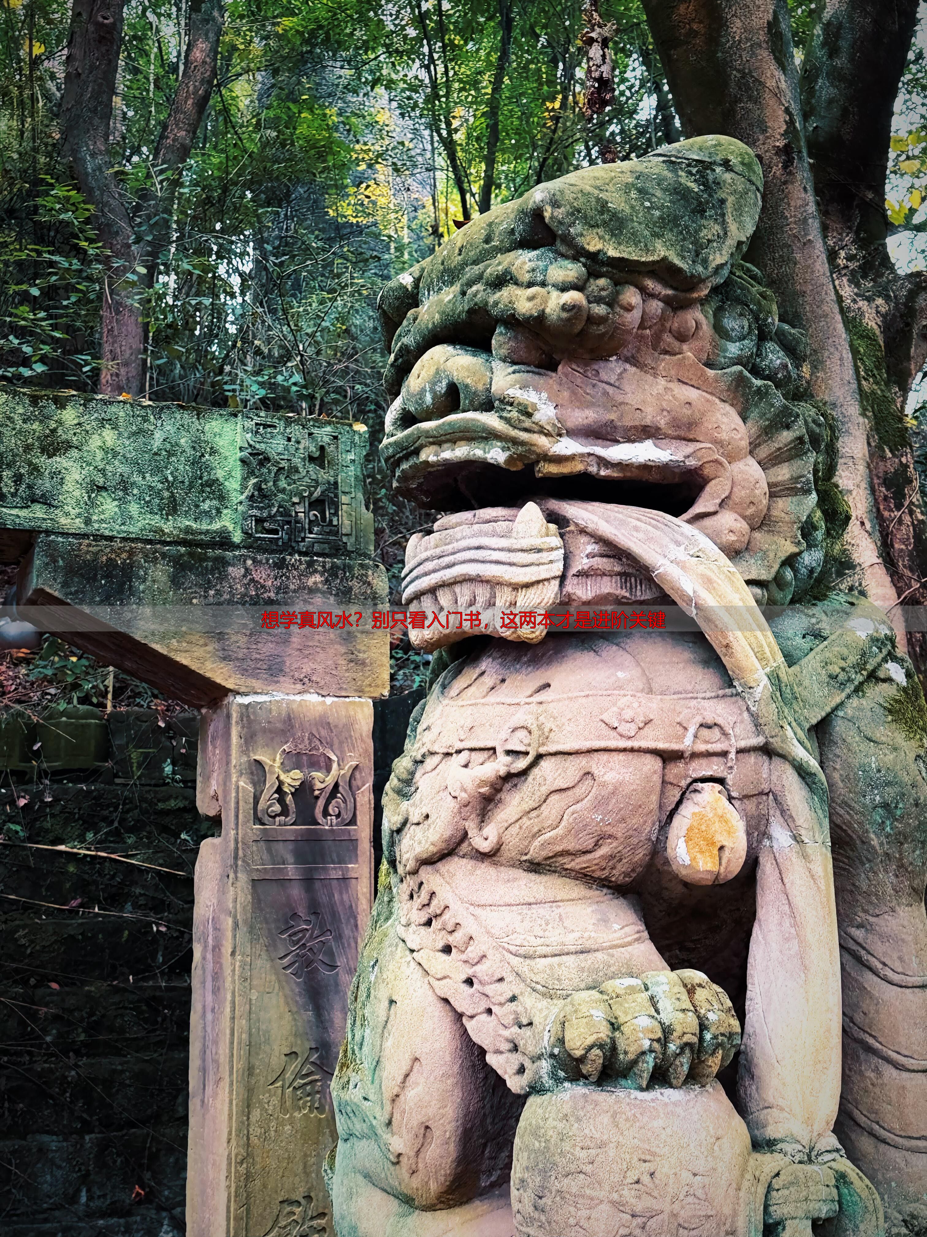 想学真风水？别只看入门书，这两本才是进阶关键
