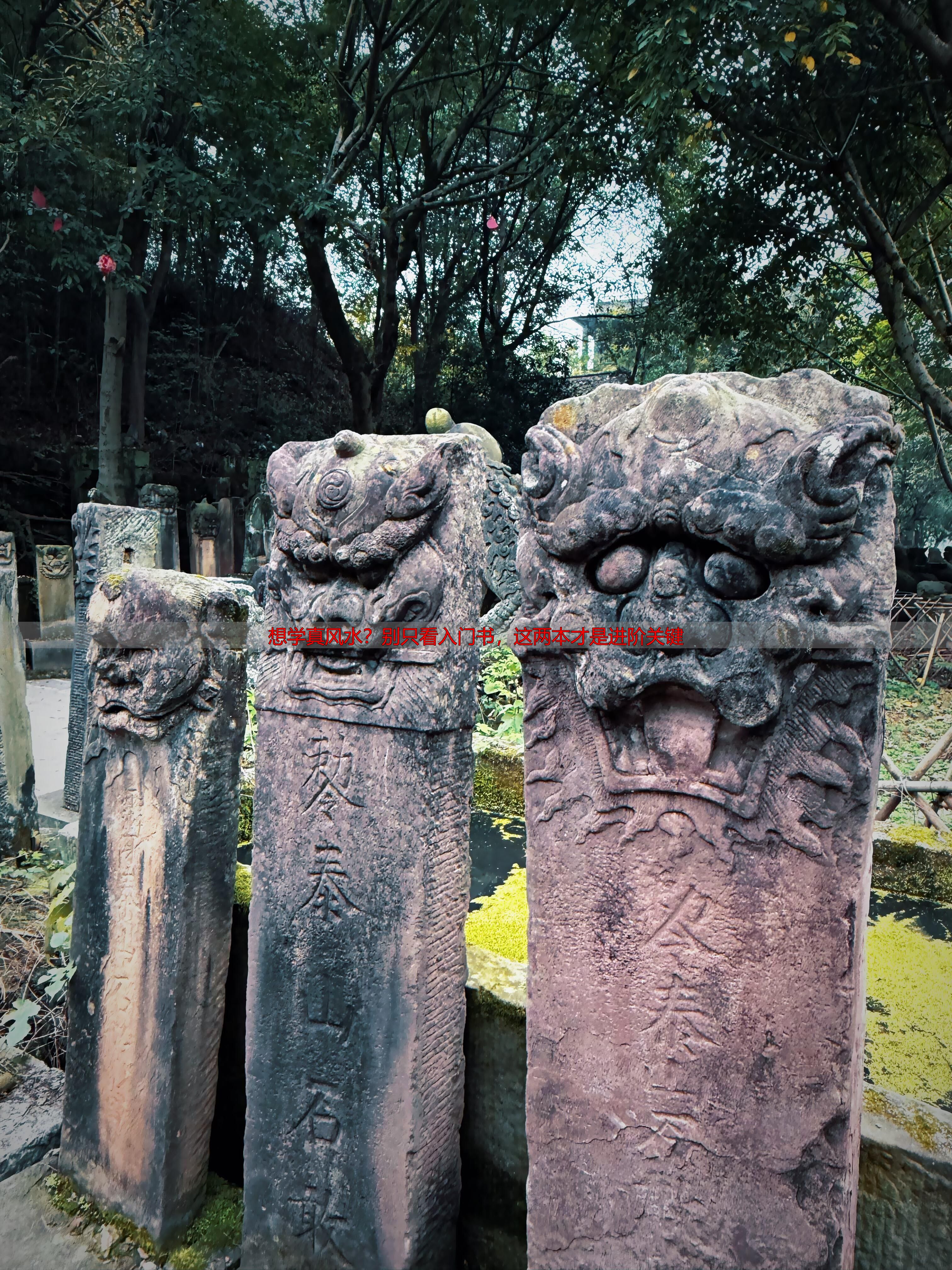 想学真风水？别只看入门书，这两本才是进阶关键