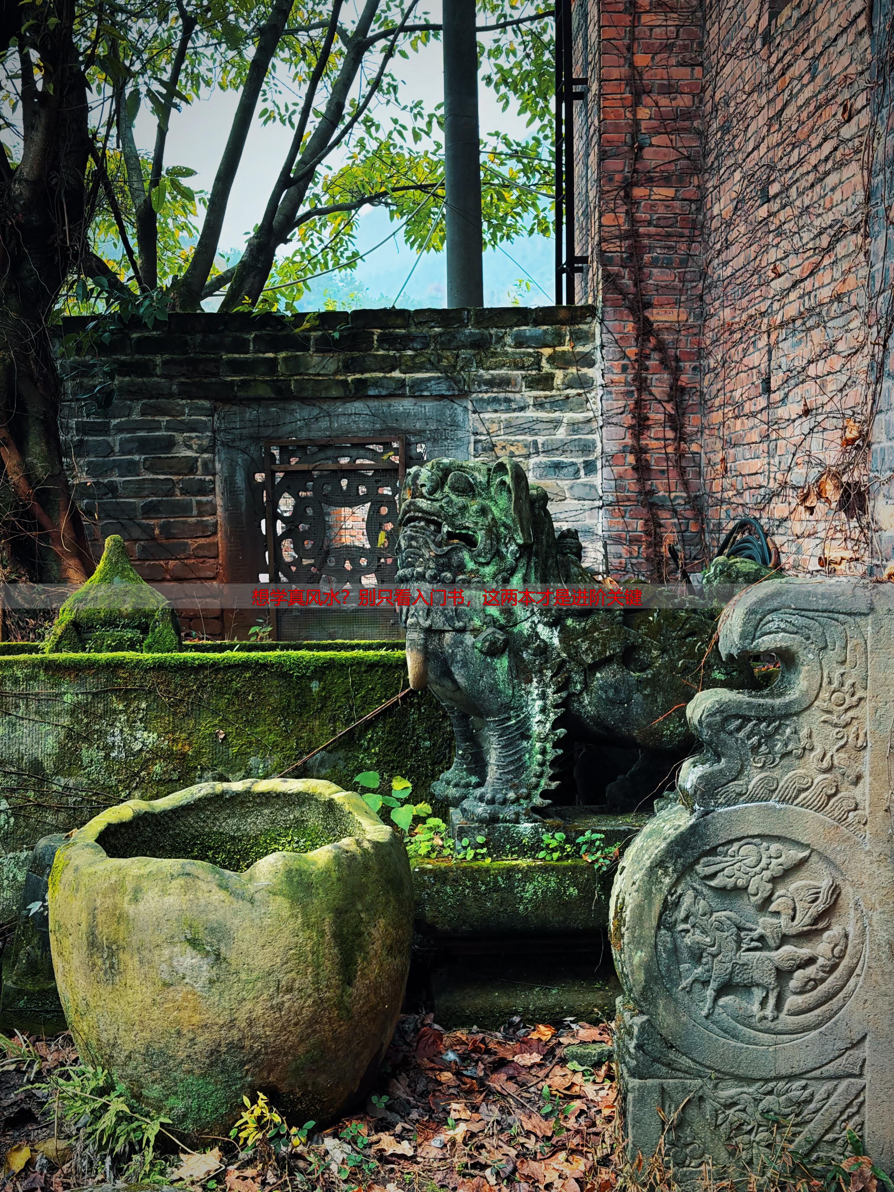 想学真风水？别只看入门书，这两本才是进阶关键