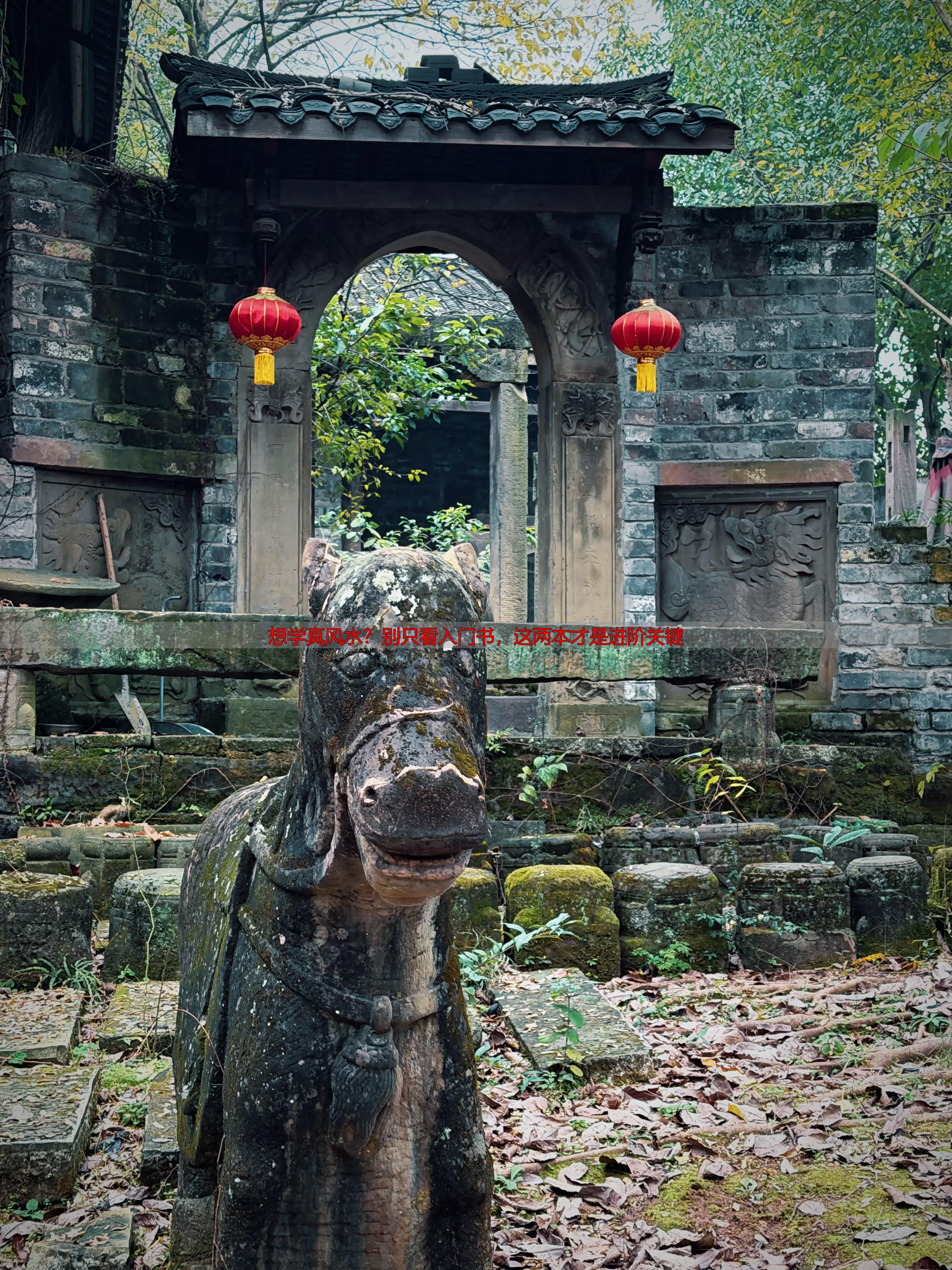 想学真风水？别只看入门书，这两本才是进阶关键
