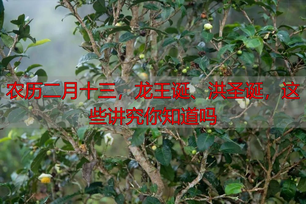 农历二月十三，龙王诞、洪圣诞，这些讲究你知道吗